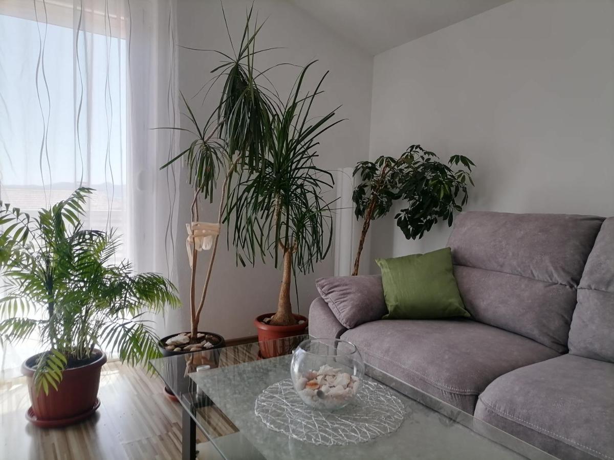 Ivana Apartament
